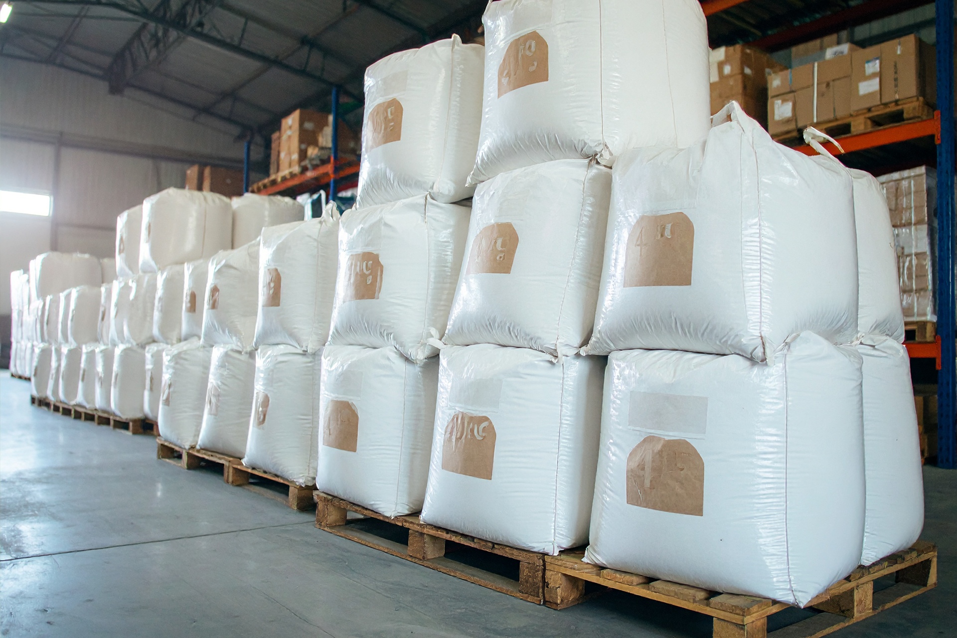 Premixed Wall Plaster